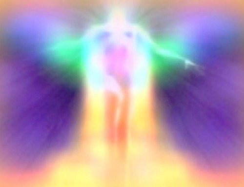 Scientific Proof of the Human bio-energy Field