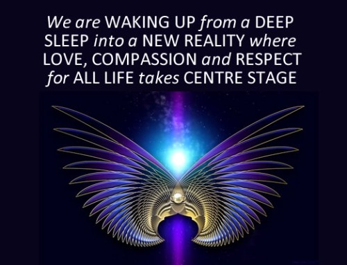 The Five Stages of Awakening: Stage 1