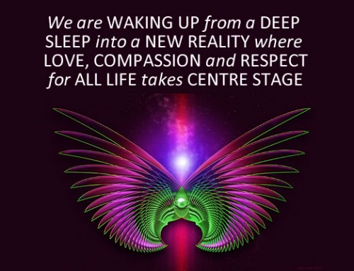 The Five Stages of Awakening: Stage 2