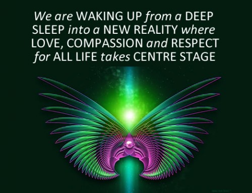 The Five Stages of Awakening: Stage 3