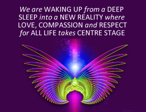 The Five Stages of Awakening: Stage 4