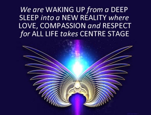 The Five Stages of Awakening: Stage 5