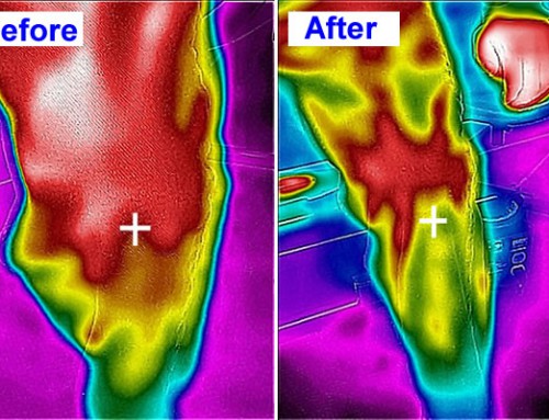 Infrared Before and After
