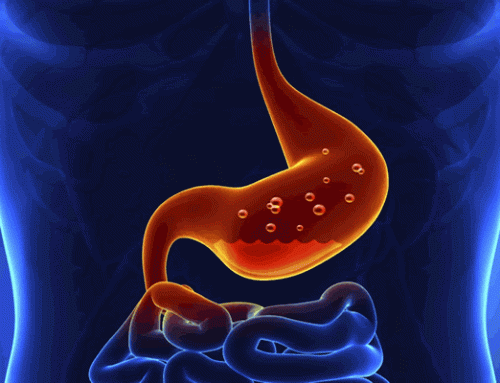 The Truth about Acid Reflux or Gourd and how the Body Alkalises.